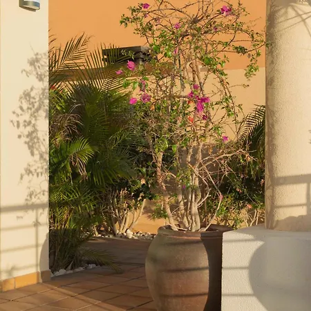 فيلة My Island Escape - Sea Views - Private Pool, Sauna بويرتو دي سانتياغو